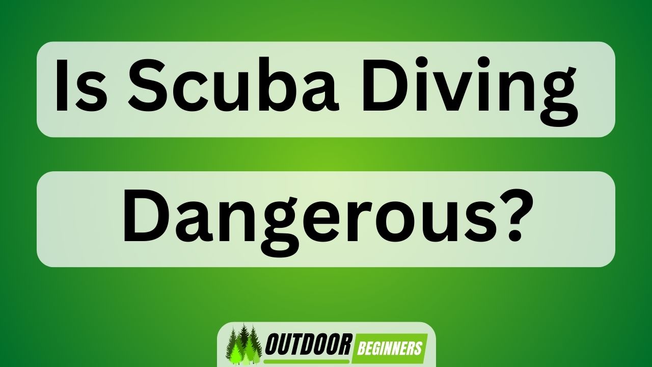 Is Scuba Diving Dangerous February