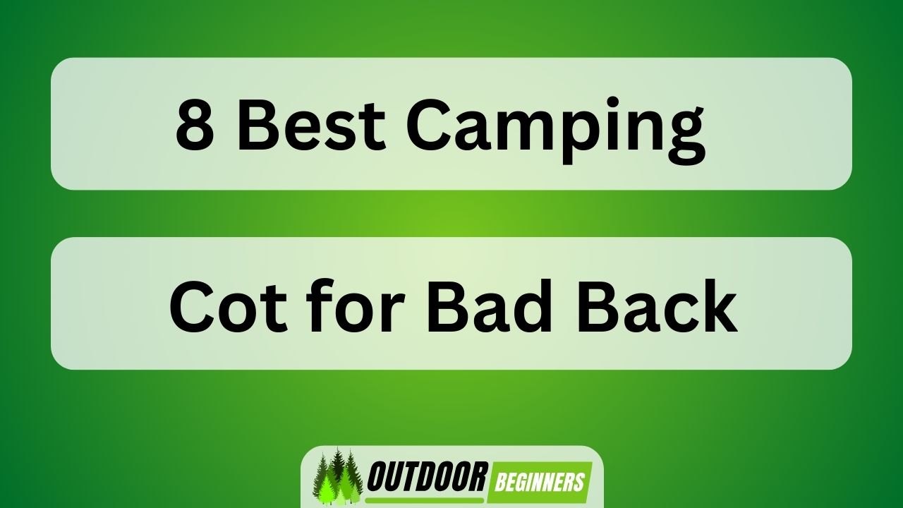 8 Best Camping Cot for Bad Back
