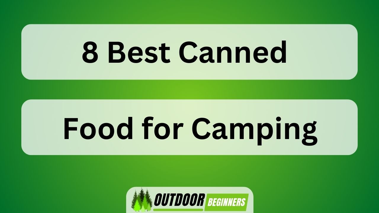 8 Best Canned Food for Camping