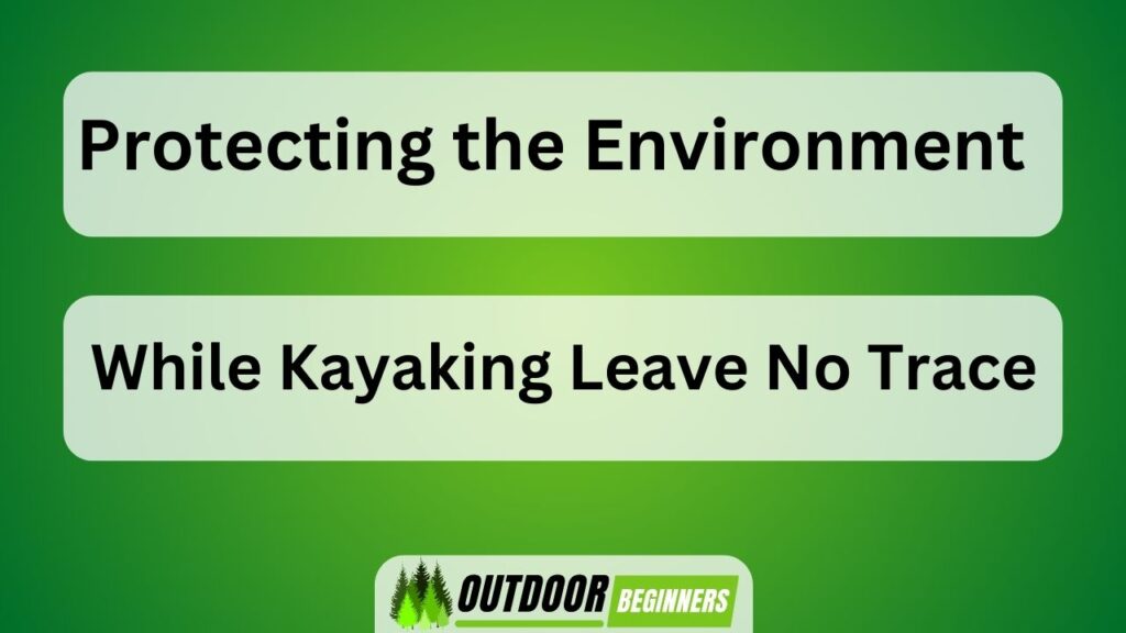 Protecting the Environment While Kayaking Leave No Trace