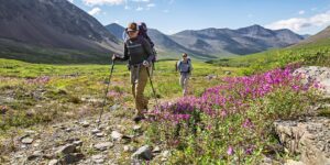 The Top Summer National Parks To Explore for Outdoor Enthusiasts